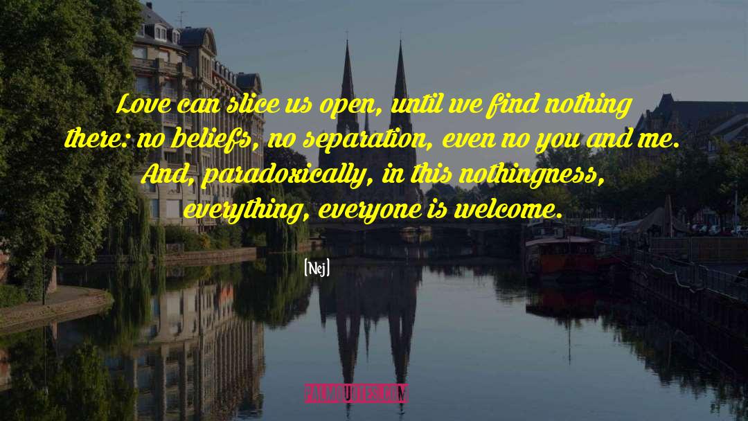Everyone Has Their Own Beliefs quotes by Nej
