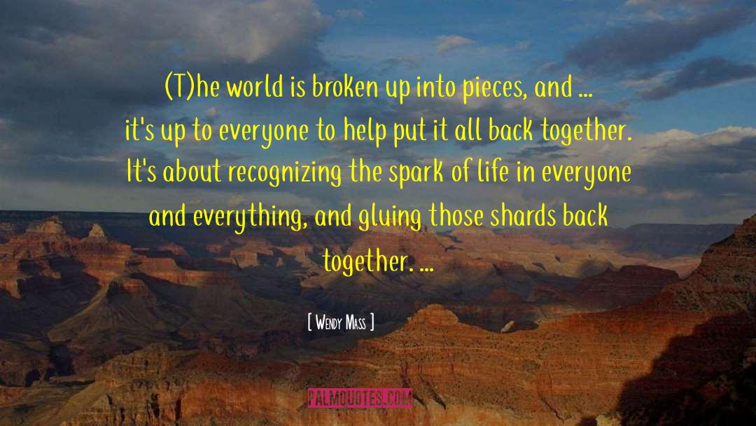 Everyone Is Broken quotes by Wendy Mass