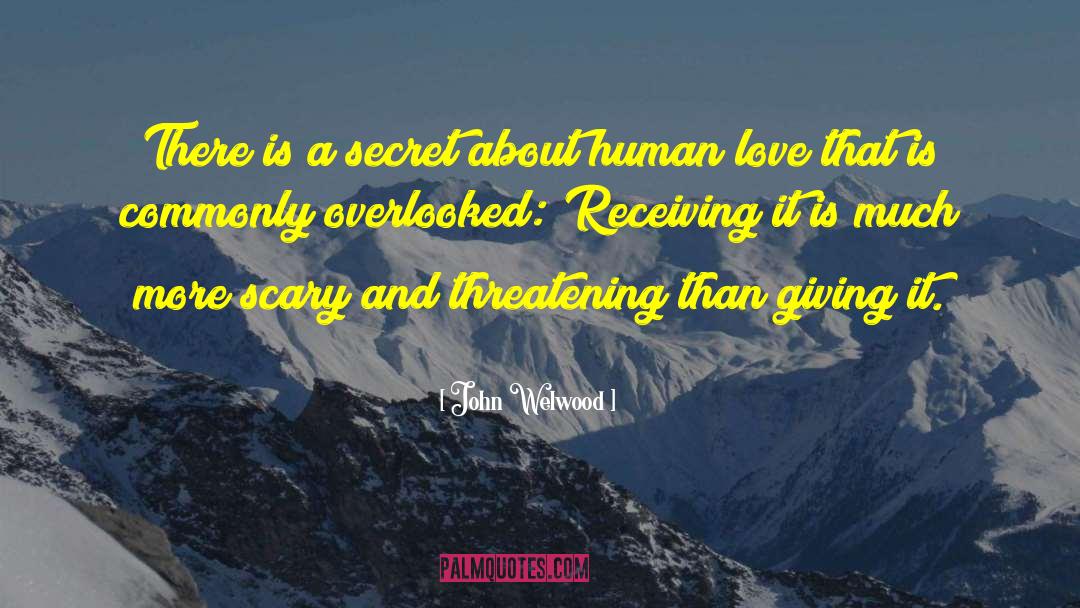 Everyone Wants Perfect Love quotes by John Welwood