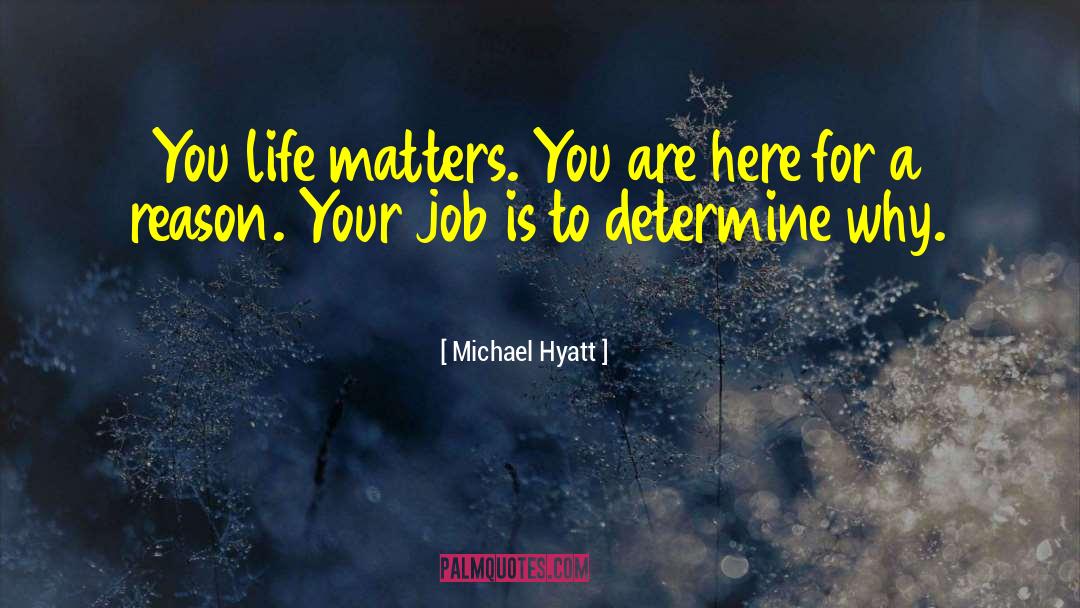 Everyones Life Matters quotes by Michael Hyatt
