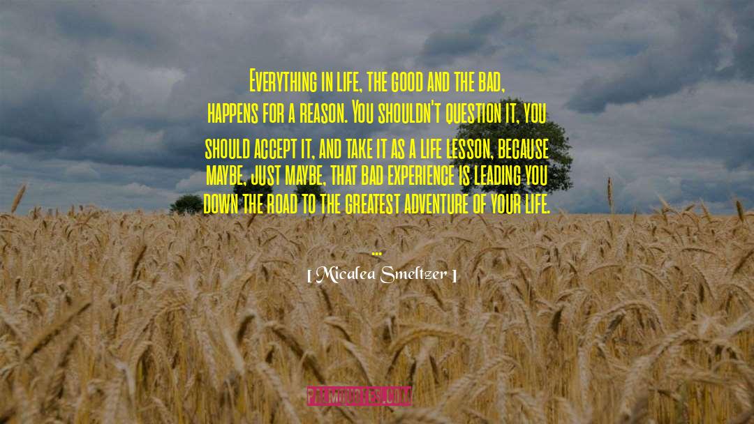 Everything Bad Is Good For You quotes by Micalea Smeltzer