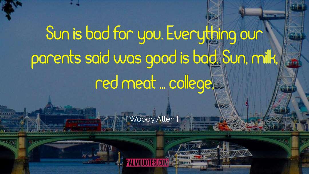 Everything Bad Is Good For You quotes by Woody Allen