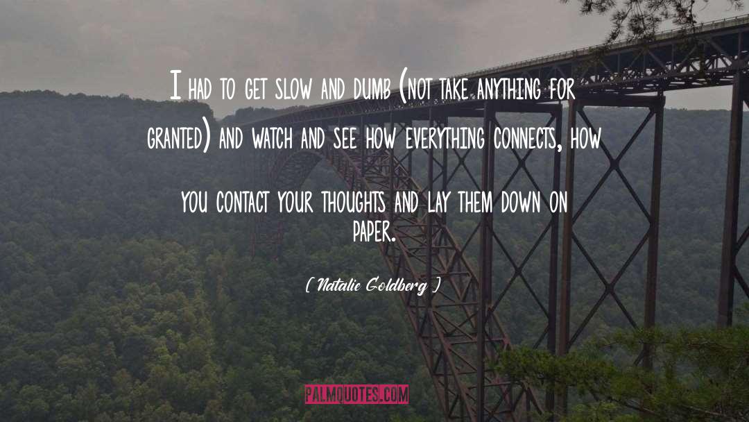 Everything Connects quotes by Natalie Goldberg