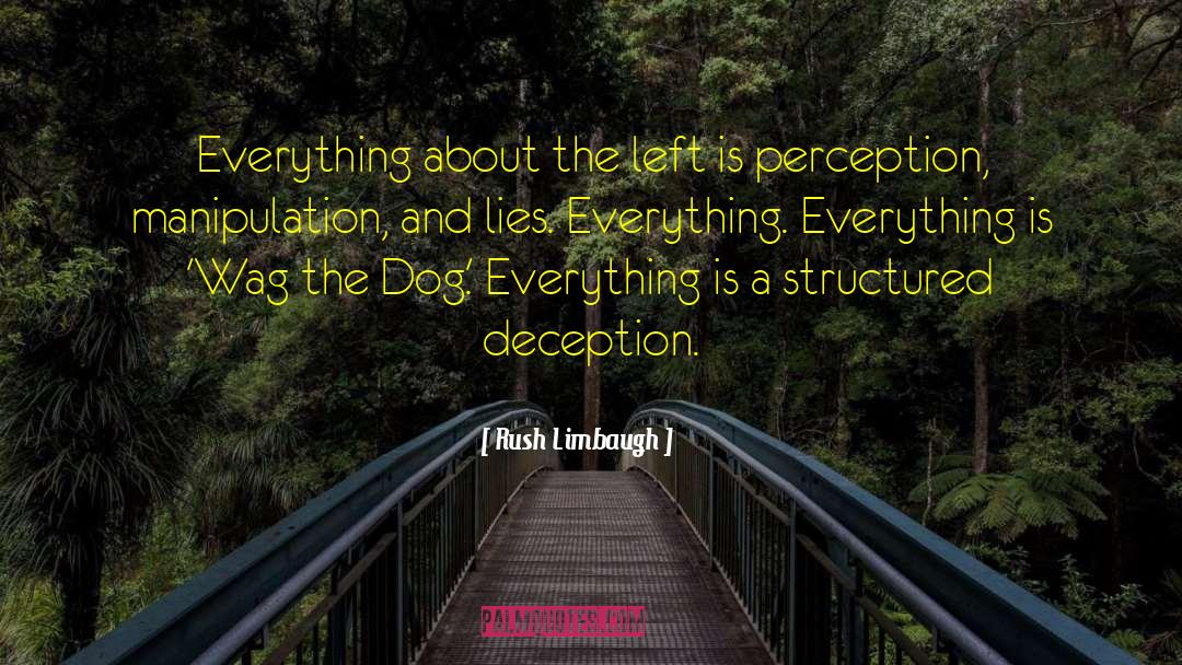 Everything Everything quotes by Rush Limbaugh