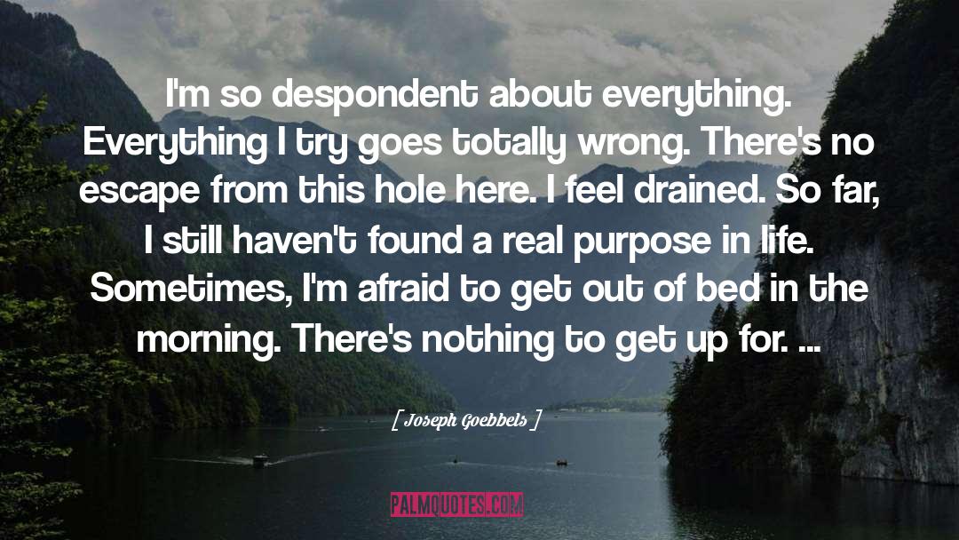 Everything Everything quotes by Joseph Goebbels