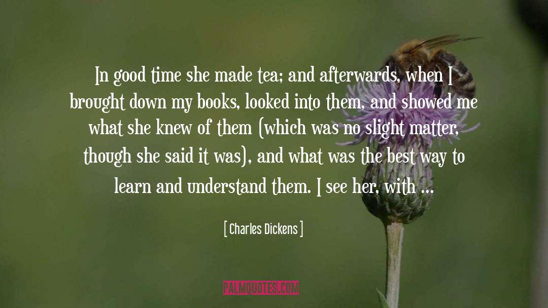 Everything Falls Into Place quotes by Charles Dickens