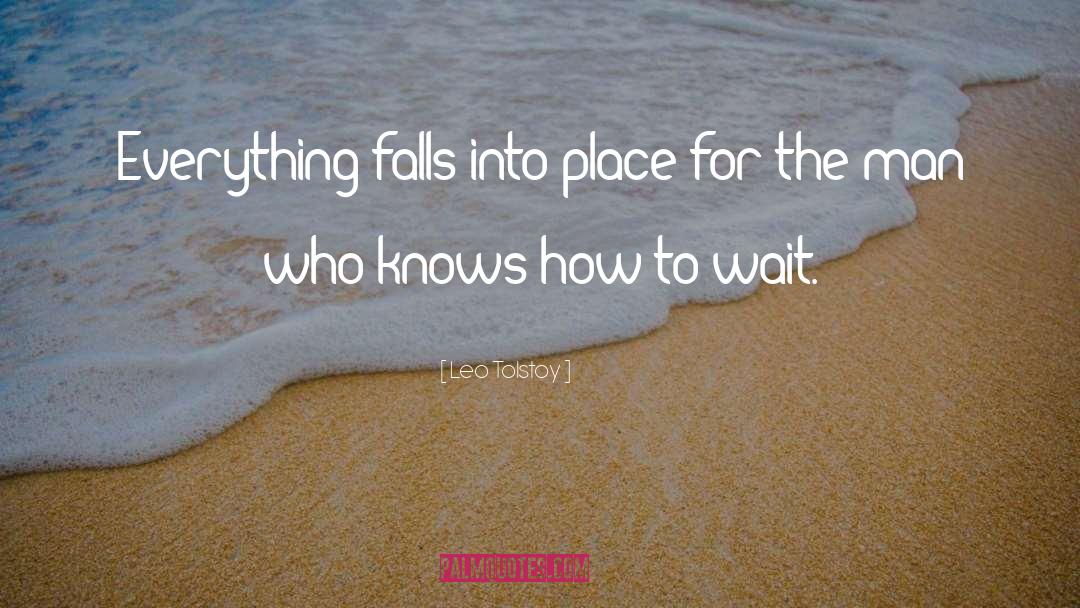 Everything Falls Into Place quotes by Leo Tolstoy