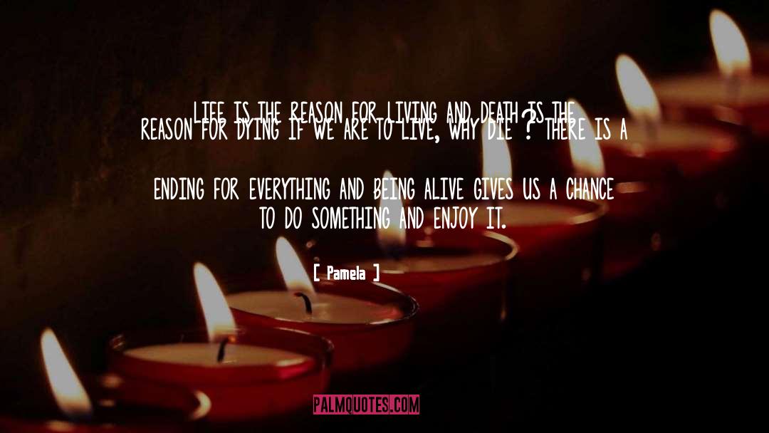 Everything For A Reason quotes by Pamela