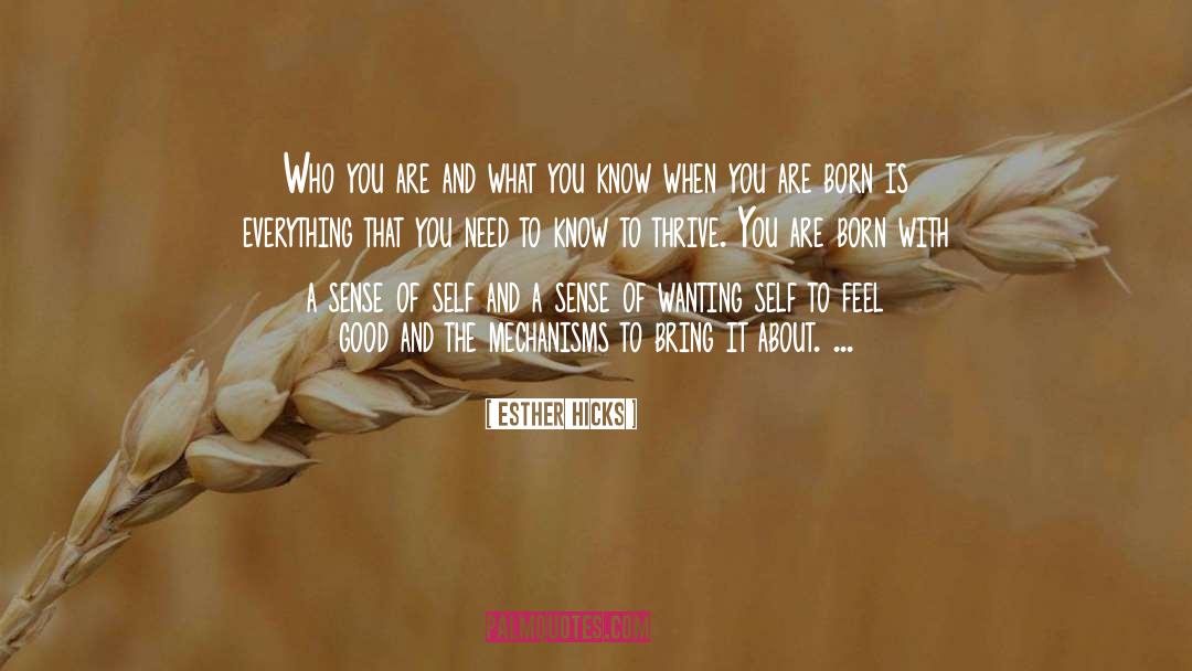 Everything Forbidden quotes by Esther Hicks