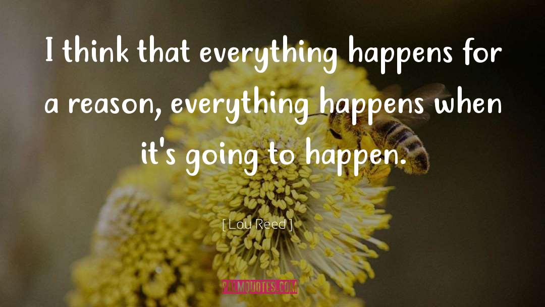 Everything Happens For A Reason quotes by Lou Reed
