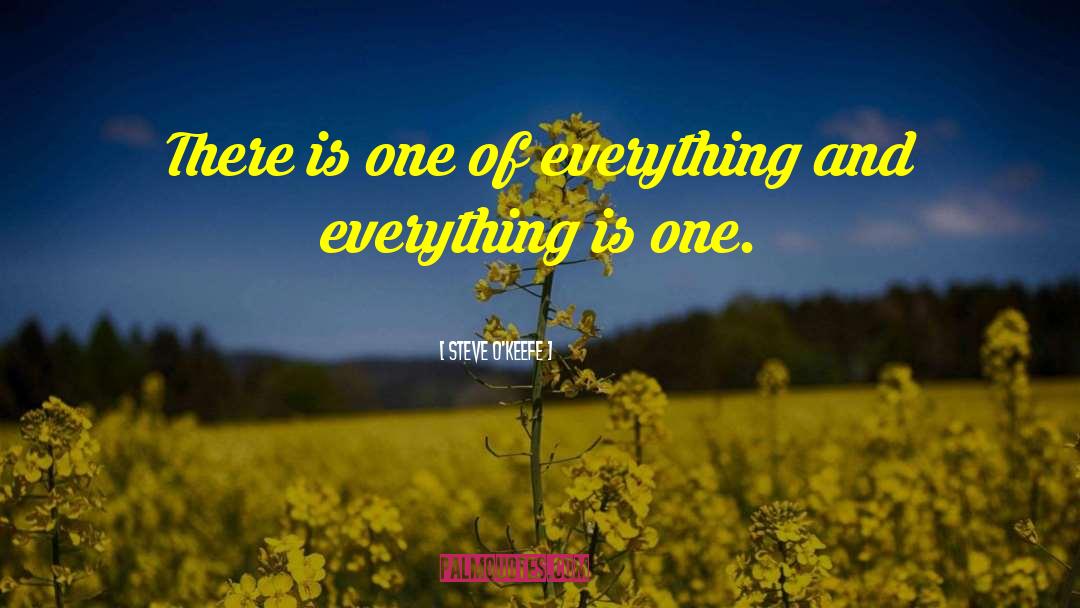 Everything Is One quotes by Steve O'Keefe