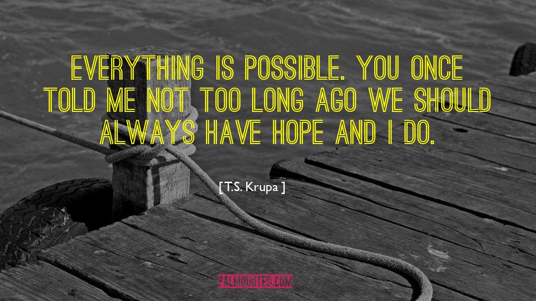 Everything Is Possible quotes by T.S. Krupa