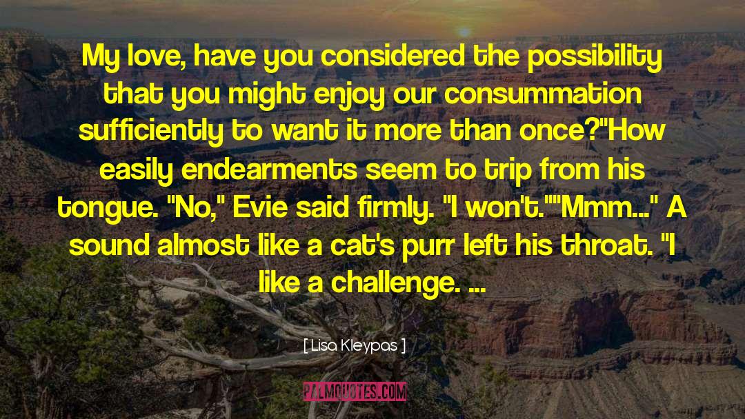 Evie Jenner quotes by Lisa Kleypas