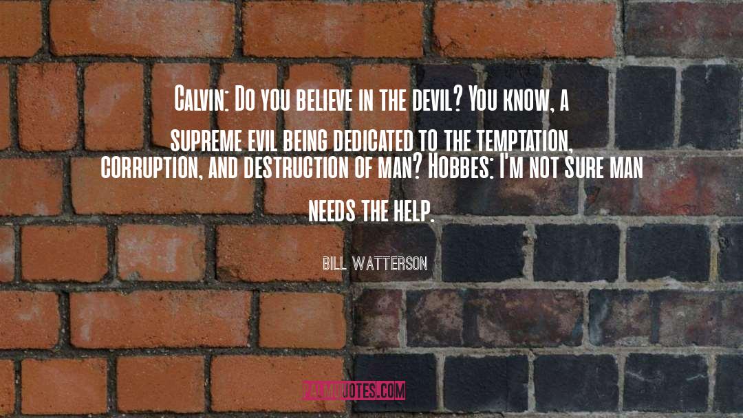 Evil Foundation quotes by Bill Watterson