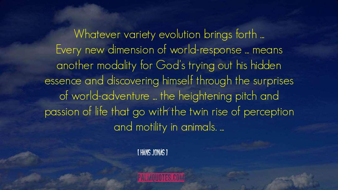 Evil God quotes by Hans Jonas