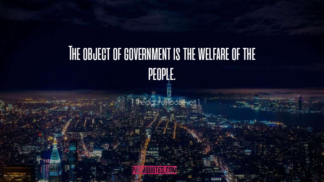 Evil Government quotes by Theodore Roosevelt