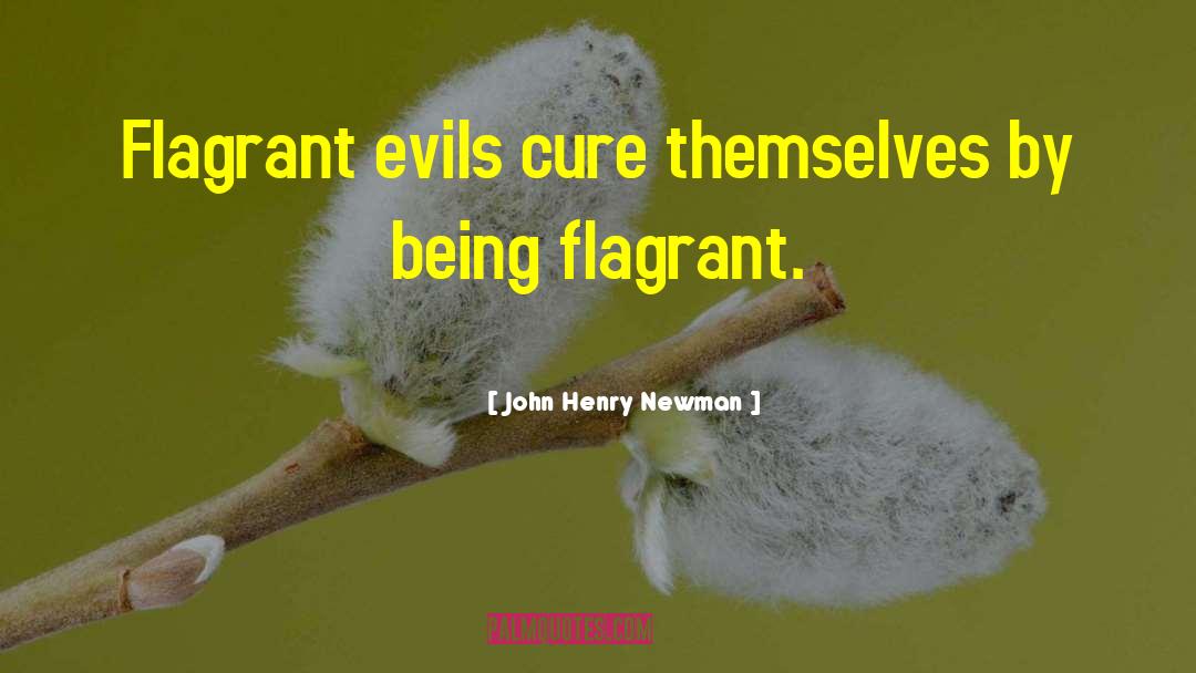 Evil Government quotes by John Henry Newman