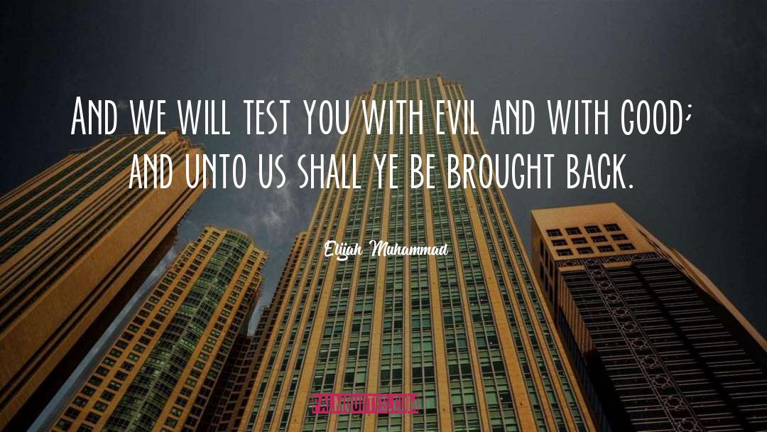 Evil Plots quotes by Elijah Muhammad