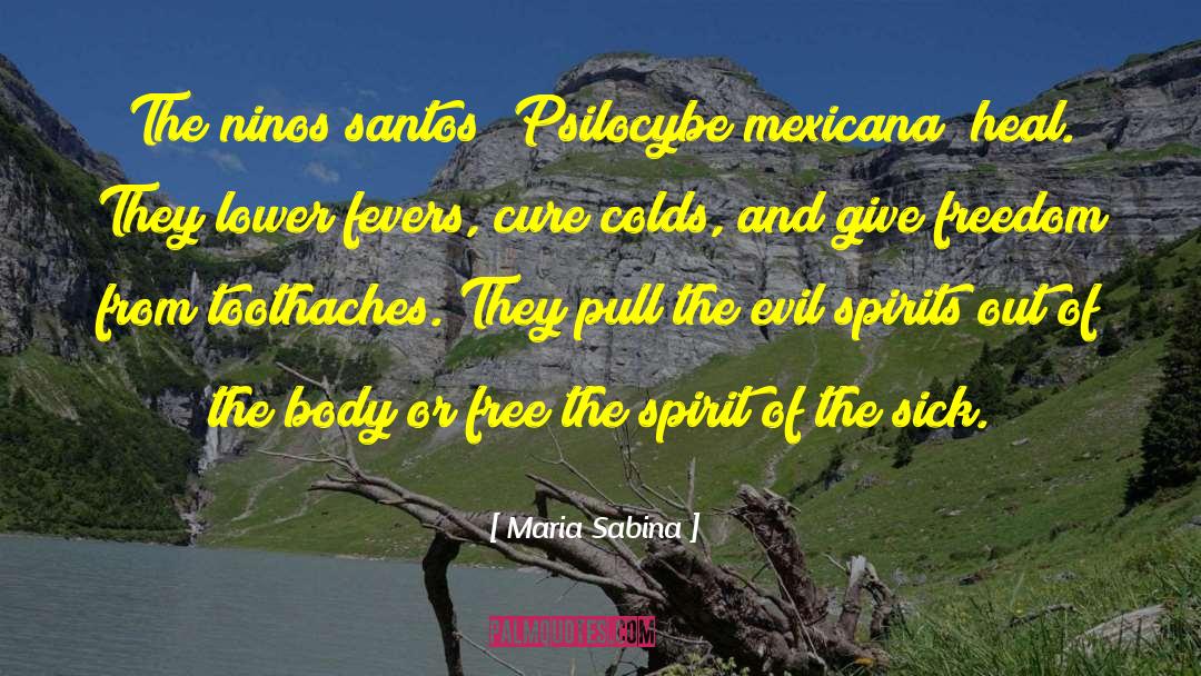 Evil Spirits quotes by Maria Sabina