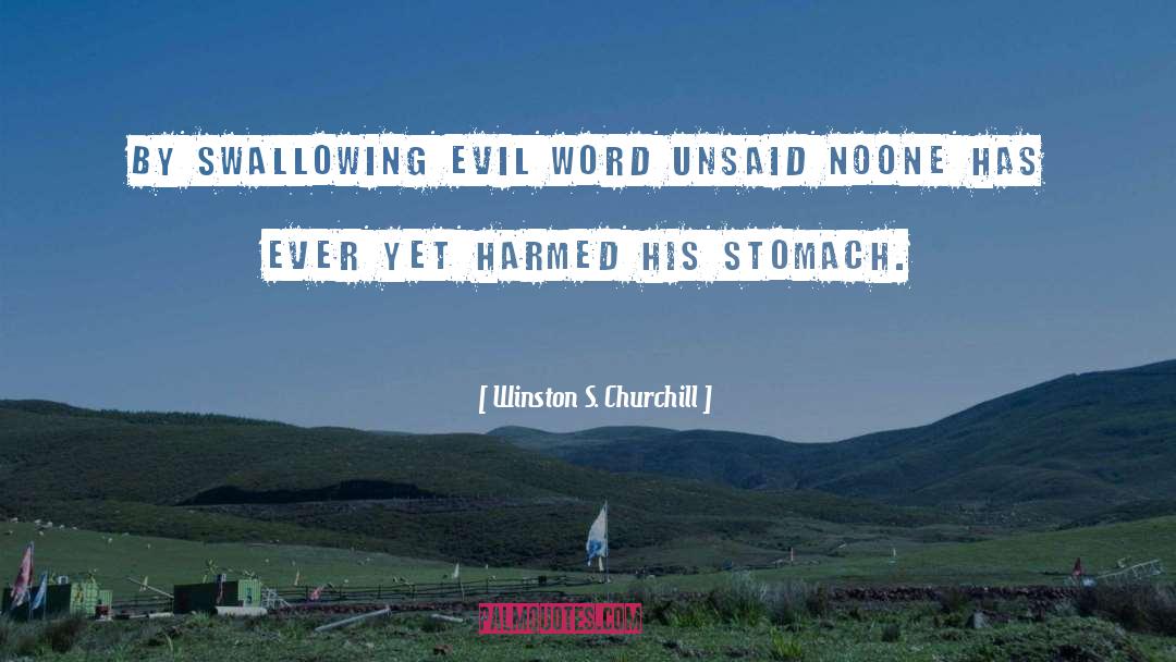Evil Thoughts quotes by Winston S. Churchill