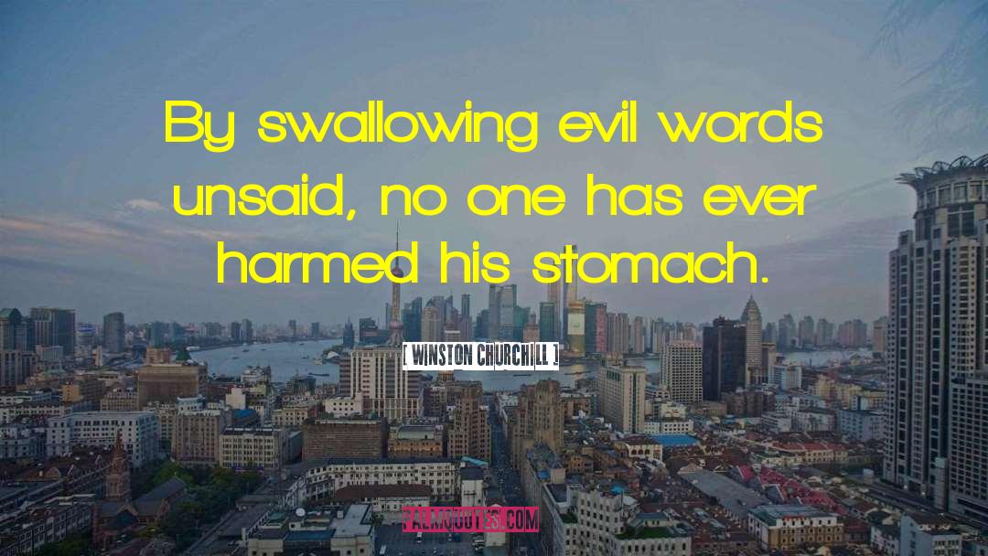Evil Words quotes by Winston Churchill