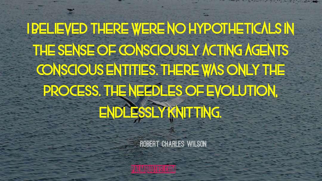 Evolution Of Goddess quotes by Robert Charles Wilson