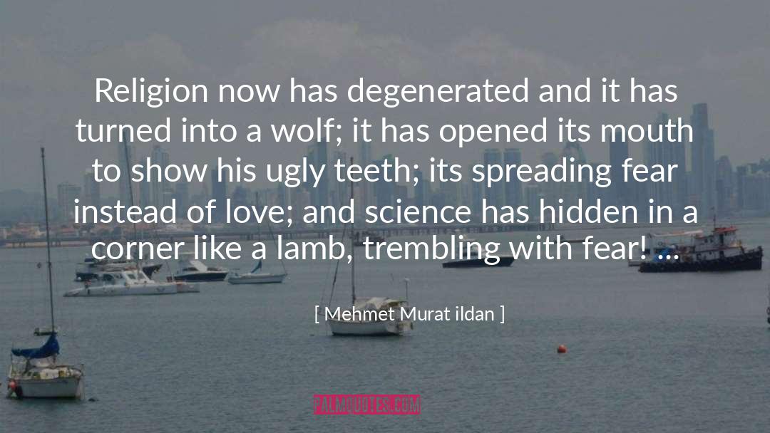 Evolution Of Religion quotes by Mehmet Murat Ildan