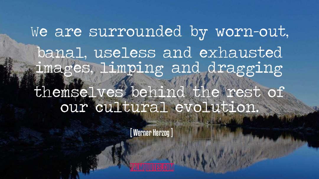 Evolution quotes by Werner Herzog