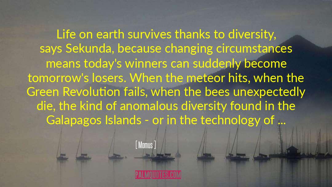 Evolution Vs Creationism quotes by Momus