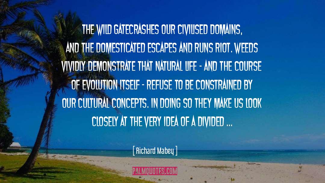 Evolution Vs Creationism quotes by Richard Mabey