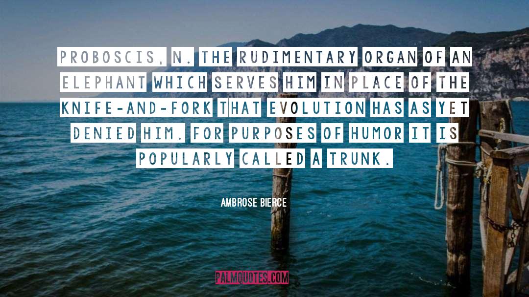 Evolution Vs Creationism quotes by Ambrose Bierce