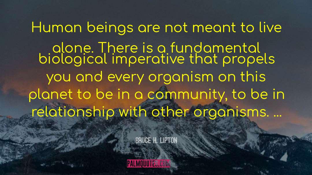 Evolutionary Biology quotes by Bruce H. Lipton