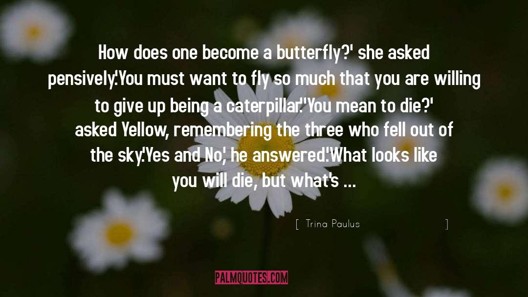 Evolve Like A Butterfly quotes by Trina Paulus