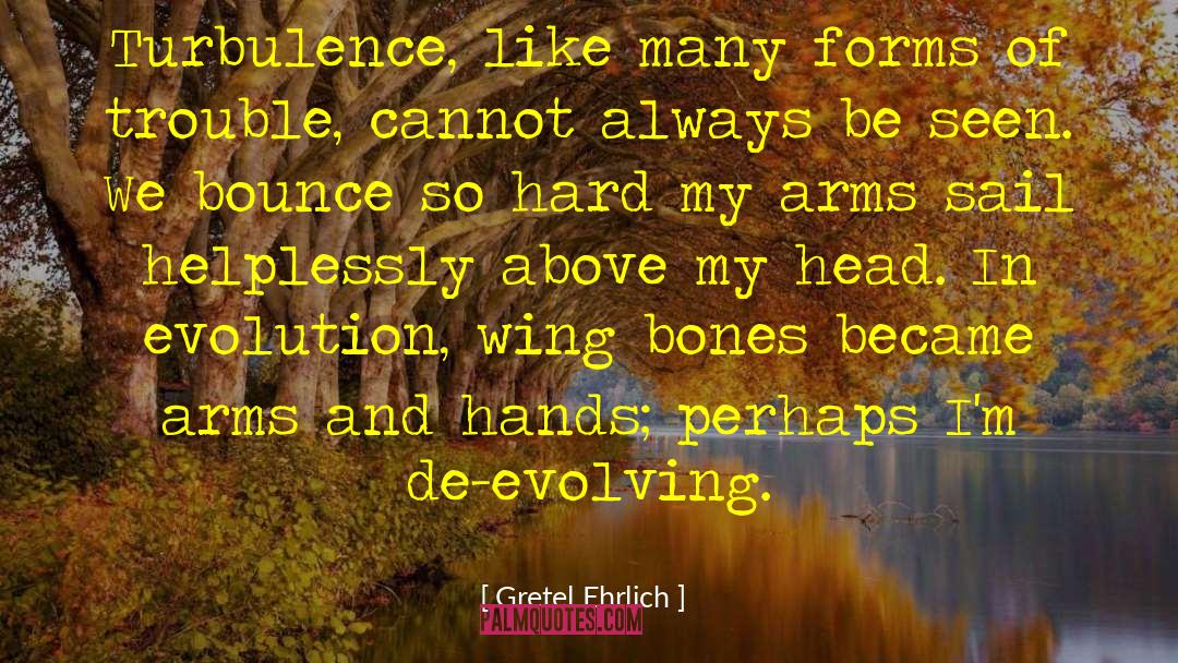 Evolving quotes by Gretel Ehrlich