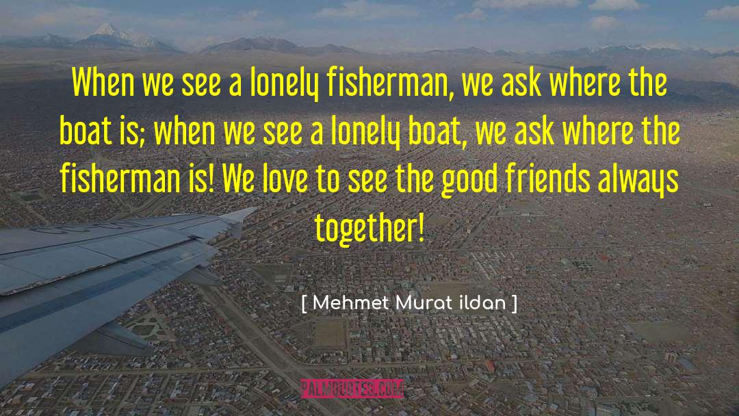 Ex Friends quotes by Mehmet Murat Ildan
