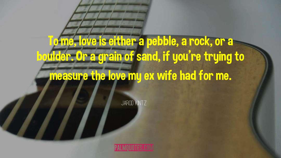 Ex Wife Hate quotes by Jarod Kintz