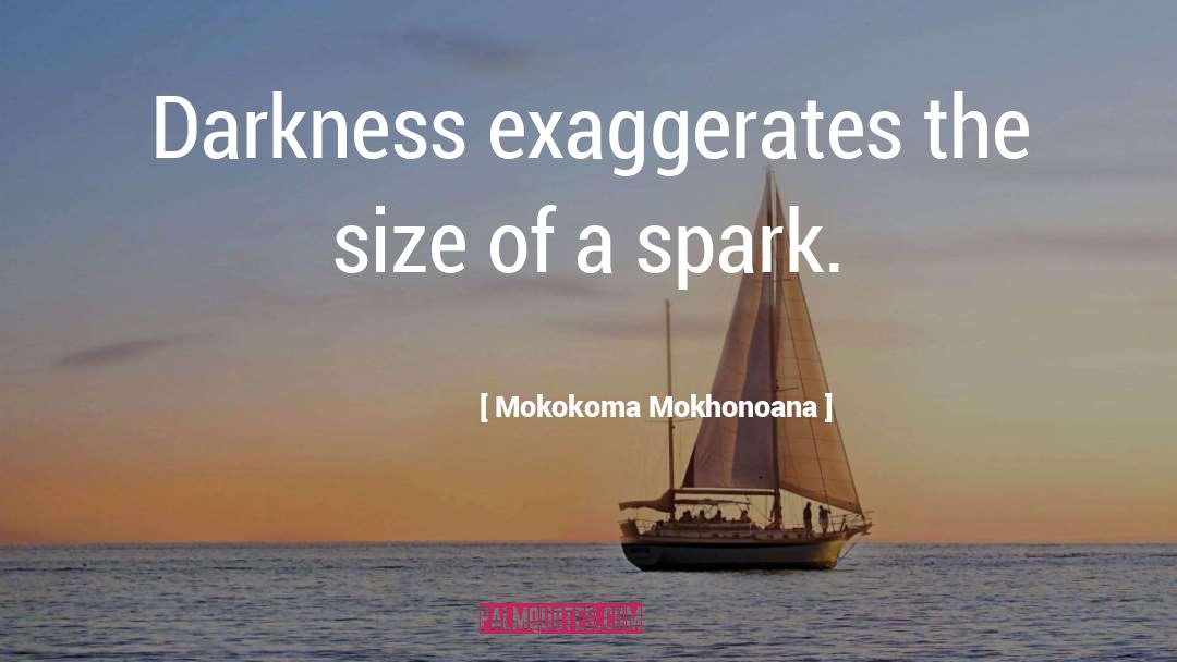Exaggerate quotes by Mokokoma Mokhonoana