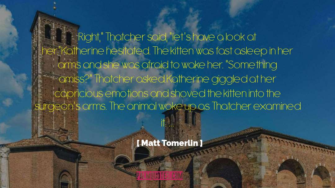 Examined quotes by Matt Tomerlin