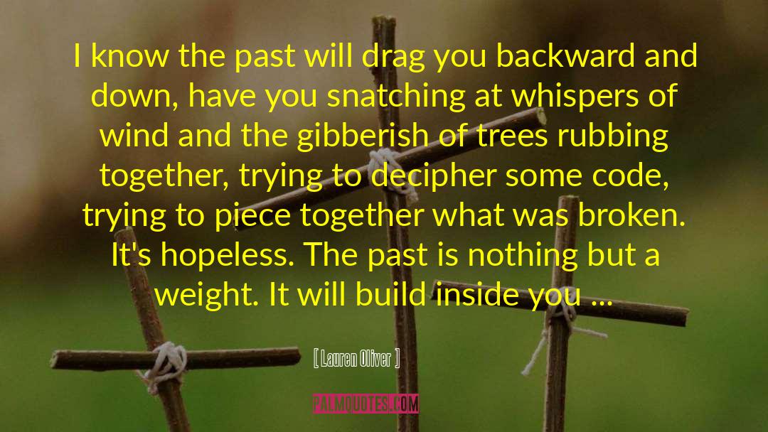 Excavating The Past quotes by Lauren Oliver