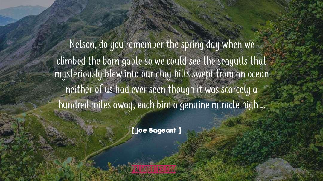 Excavation quotes by Joe Bageant