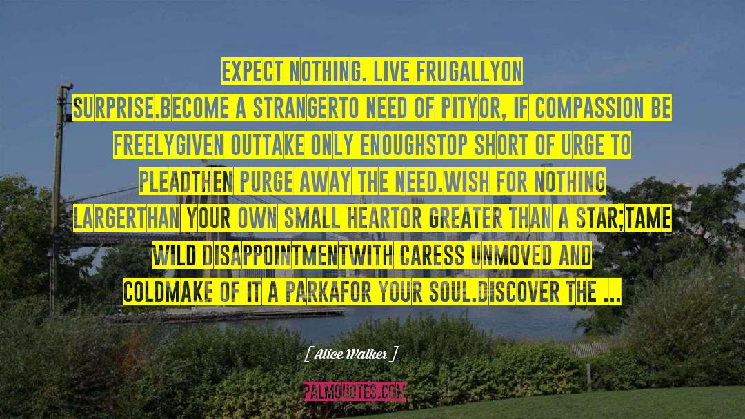 Exceeding Expectations quotes by Alice Walker