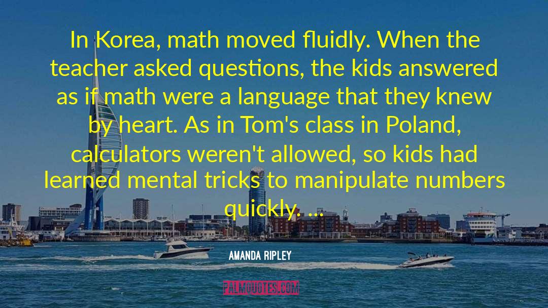 Exceeds In Math quotes by Amanda Ripley