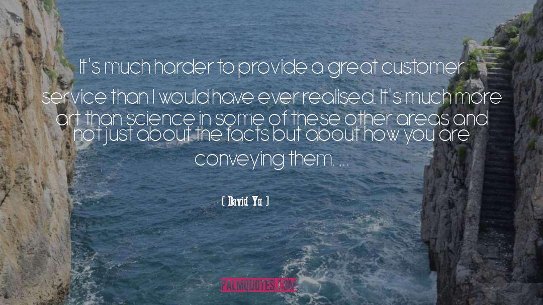 Excellence In Customer Service quotes by David Yu