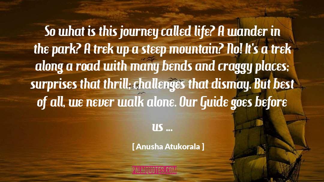 Excellence Is A Journey quotes by Anusha Atukorala