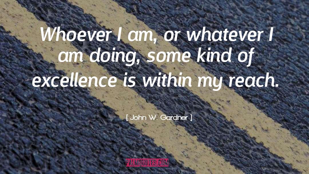 Excellence quotes by John W. Gardner