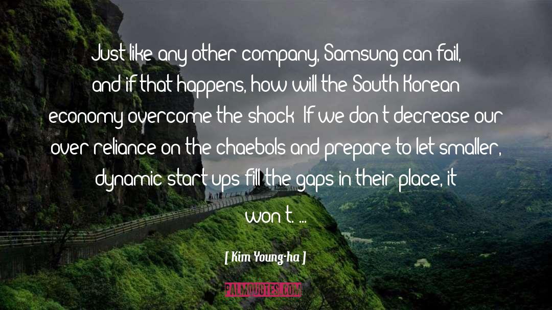 Excellence Start Ups quotes by Kim Young-ha