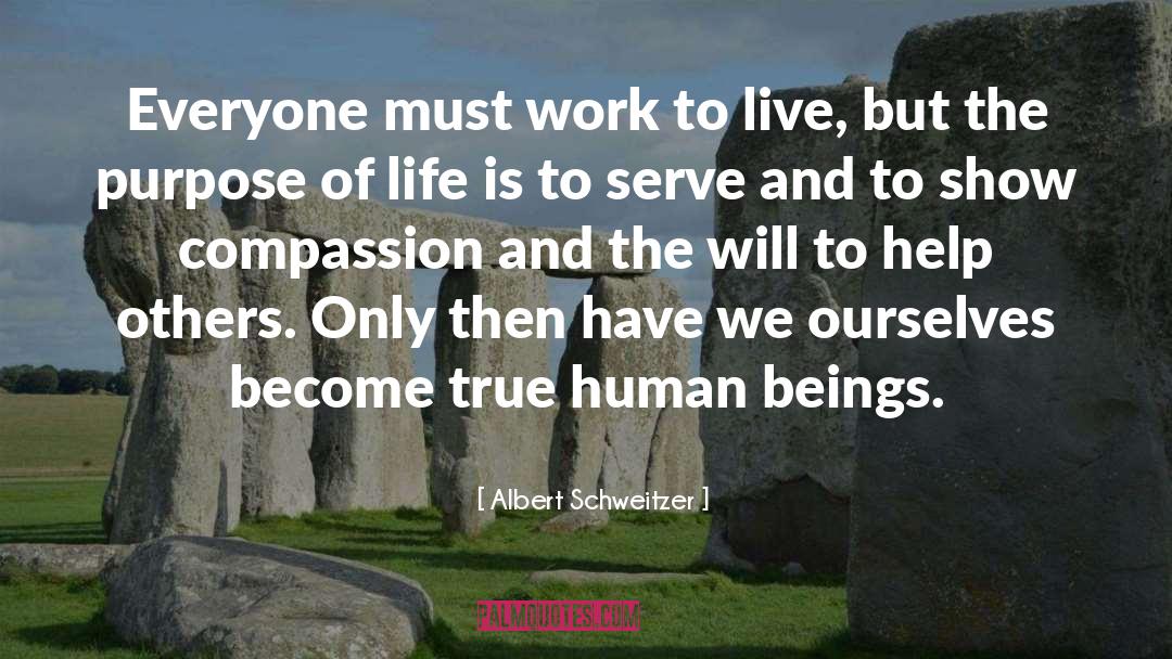 Excellent Work quotes by Albert Schweitzer