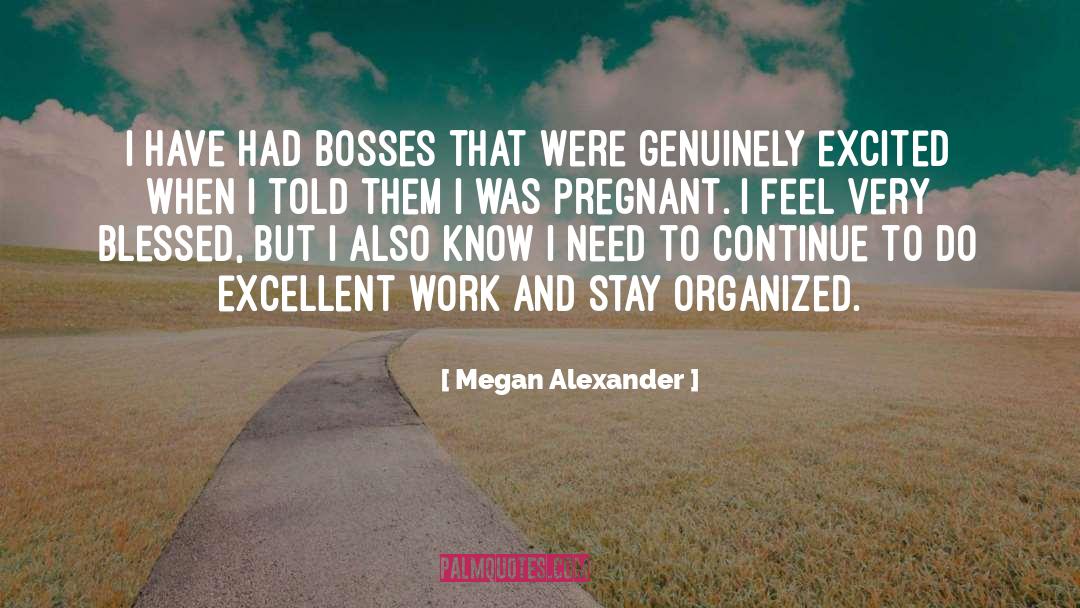 Excellent Work quotes by Megan Alexander