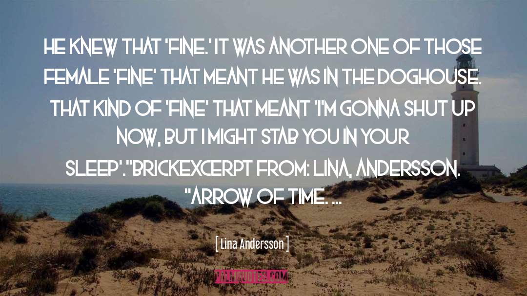Excerpt quotes by Lina Andersson