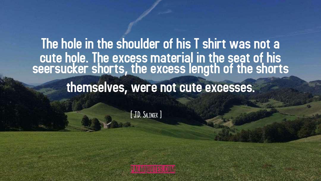 Excesses quotes by J.D. Salinger